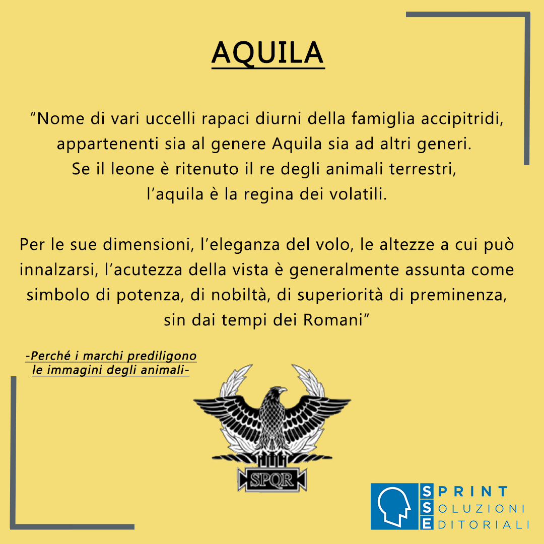 Aquila - stay tuned